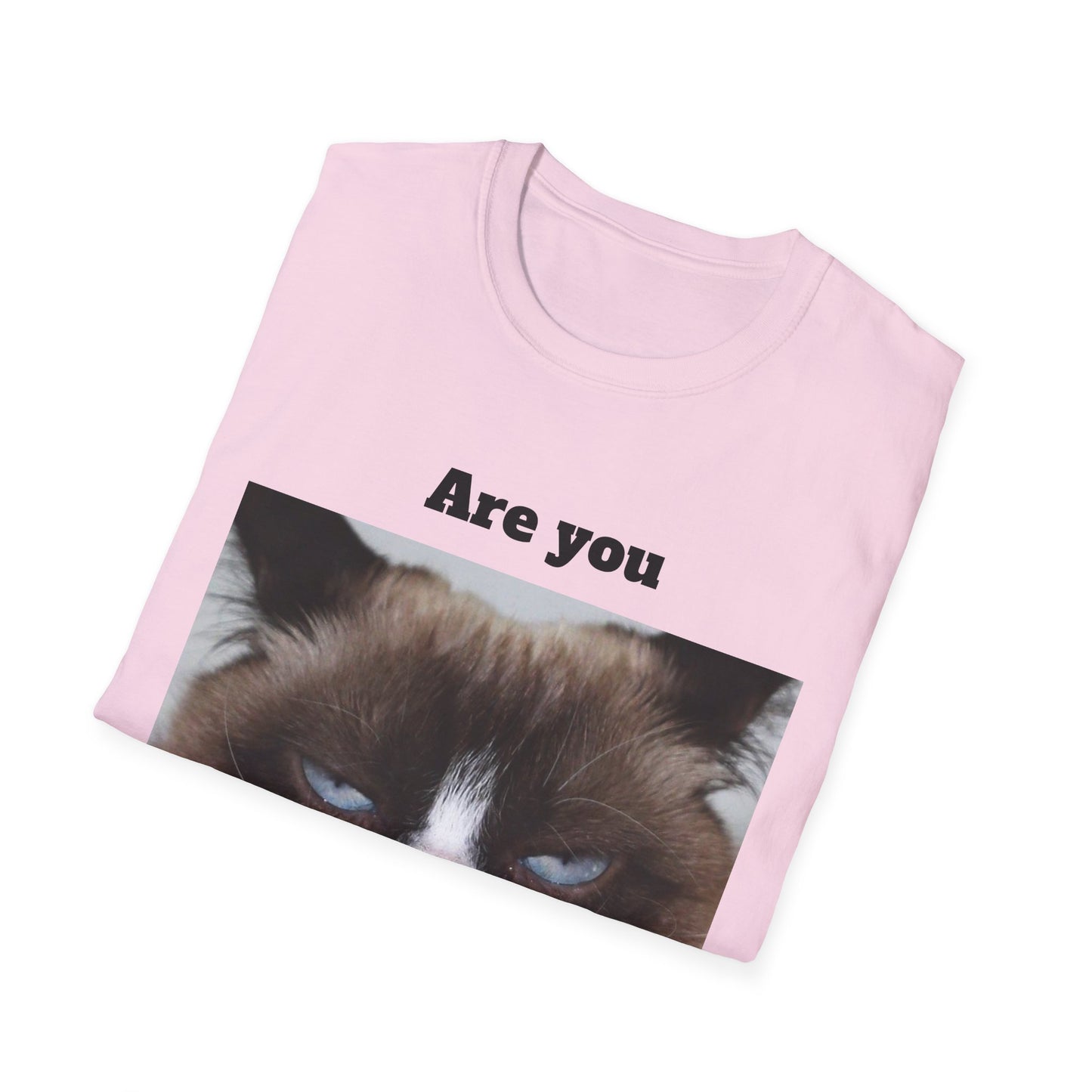 Kitty Softstyle T-Shirt