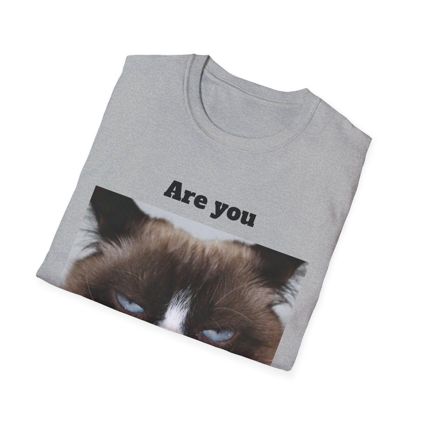 Kitty Softstyle T-Shirt