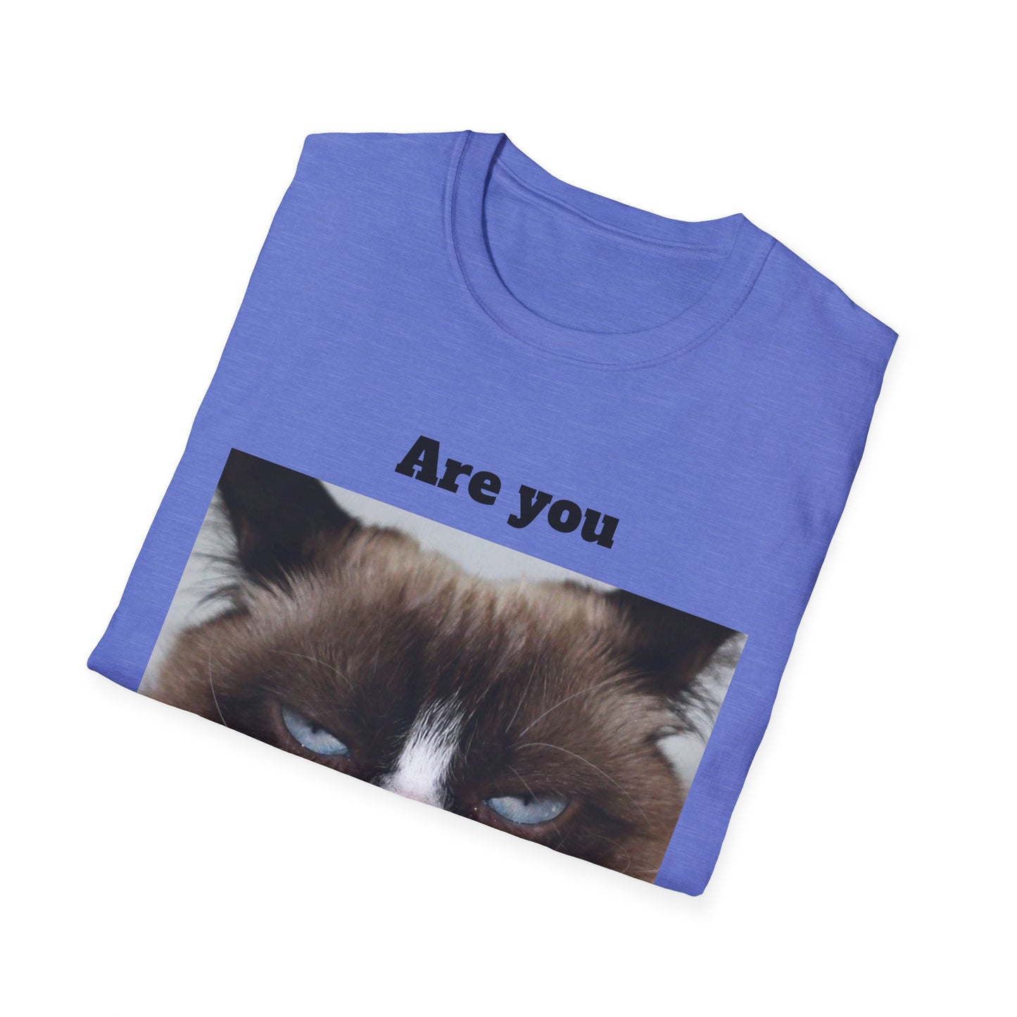 Kitty Softstyle T-Shirt