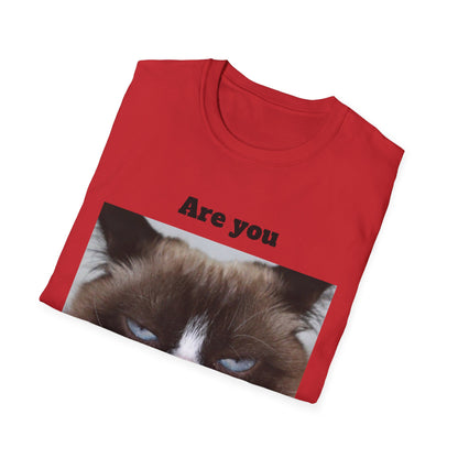 Kitty Softstyle T-Shirt