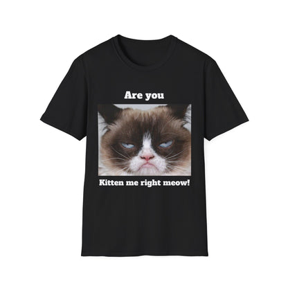 Kitty Softstyle T-Shirt