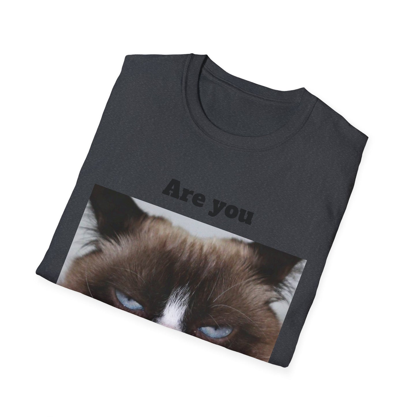 Kitty Softstyle T-Shirt