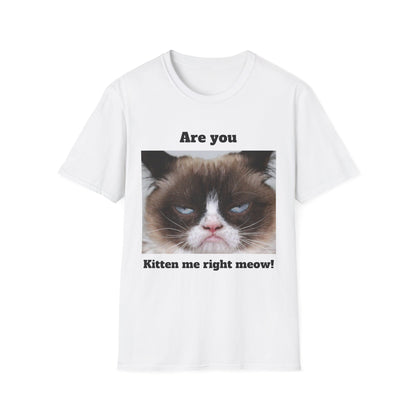 Kitty Softstyle T-Shirt