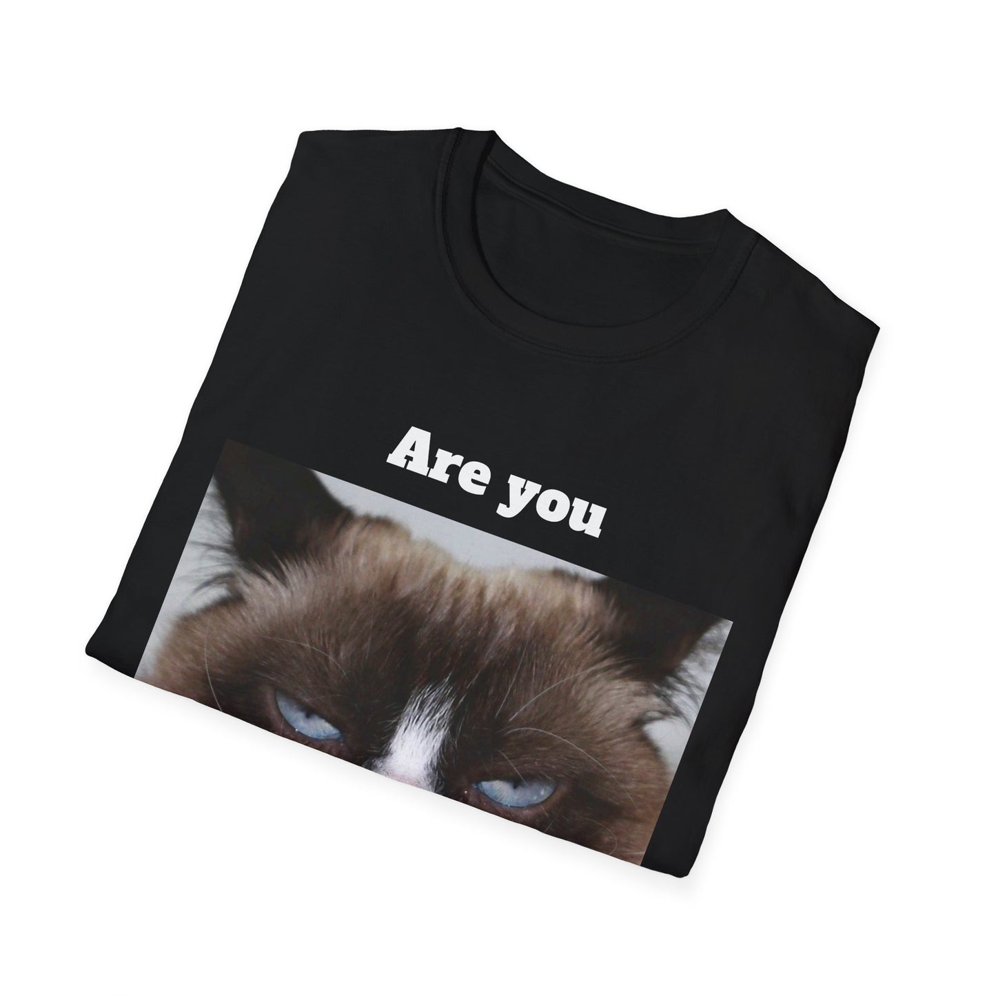 Kitty Softstyle T-Shirt